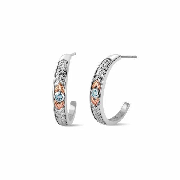 a pair of hoop earrings