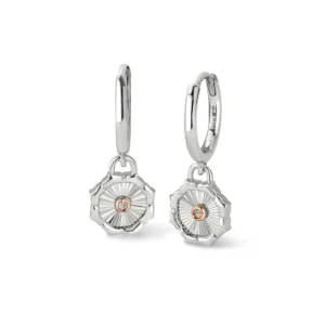 a pair of earrings with a diamond