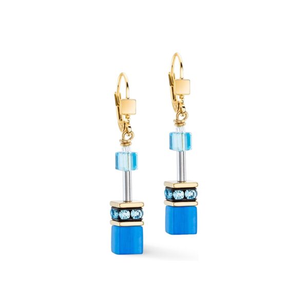 a pair of blue earrings